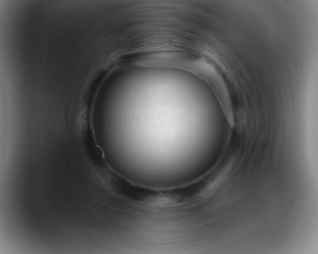 X0000088850356200706151721