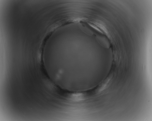 X0000088850357200706151721