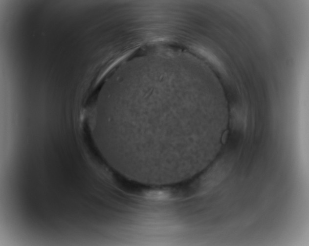 X0000088850358200706151721