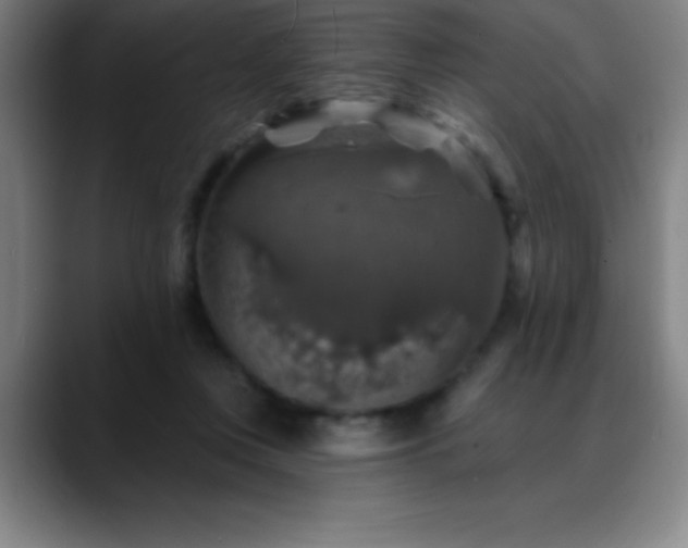 X0000088850359200706151721