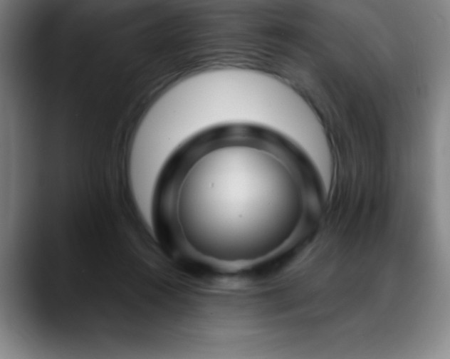 X0000088850360200706151721