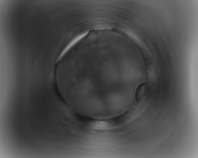 X0000088850361200706151721