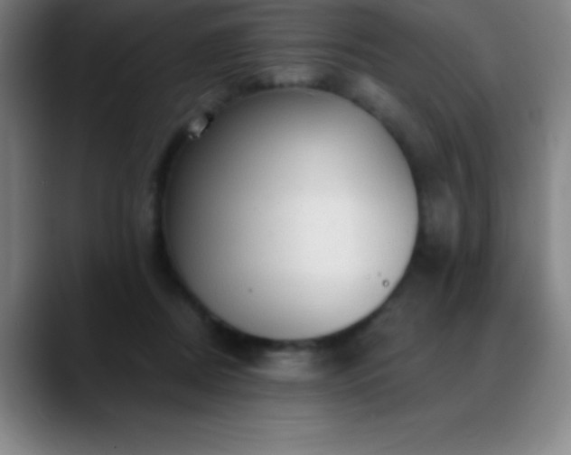 X0000088850362200706151721