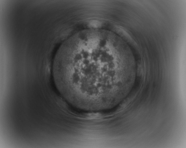 X0000088850363200706151721