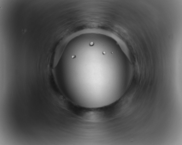 X0000088850364200706151721