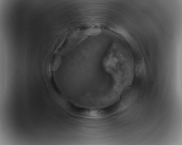 X0000088850365200706151721