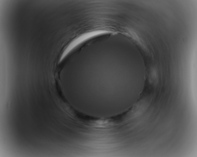 X0000088850366200706151721