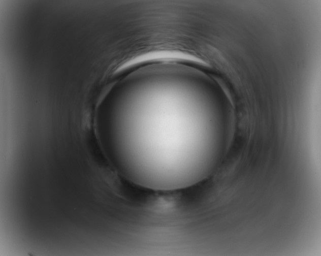 X0000088850368200706151721