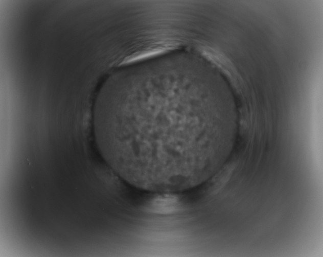 X0000088850369200706151721