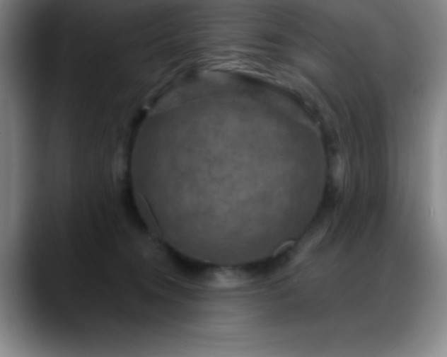 X0000088850372200706151721