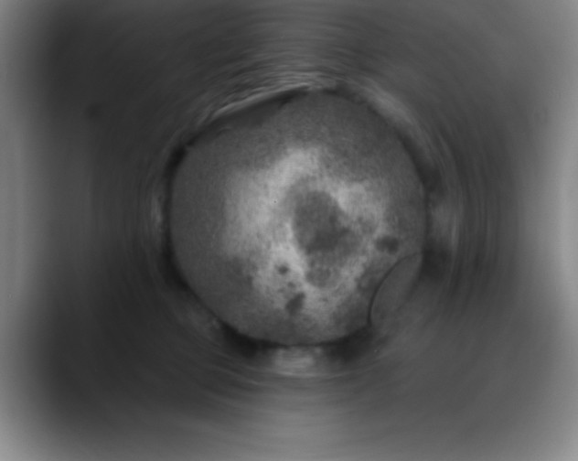 X0000088850373200706151721