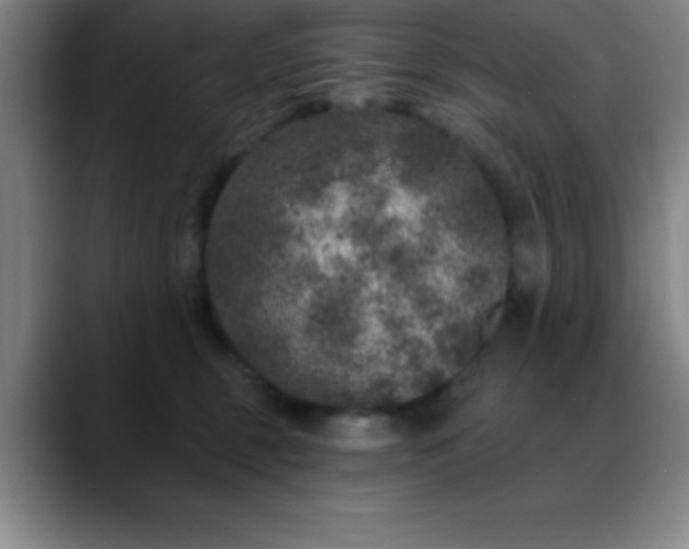 X0000088850375200706151721