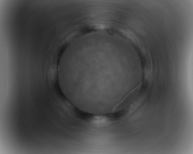 X0000088850376200706151721