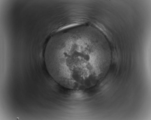 X0000088850377200706151721