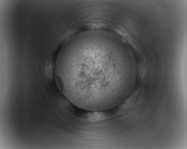 X0000088850378200706151721