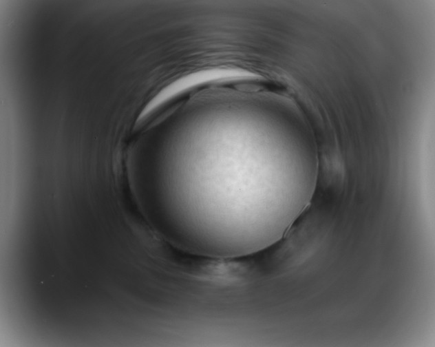 X0000088850379200706151721