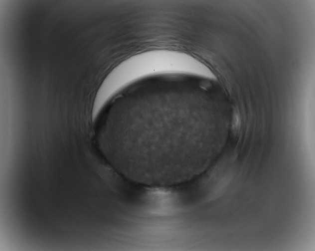 X0000088850380200706151721