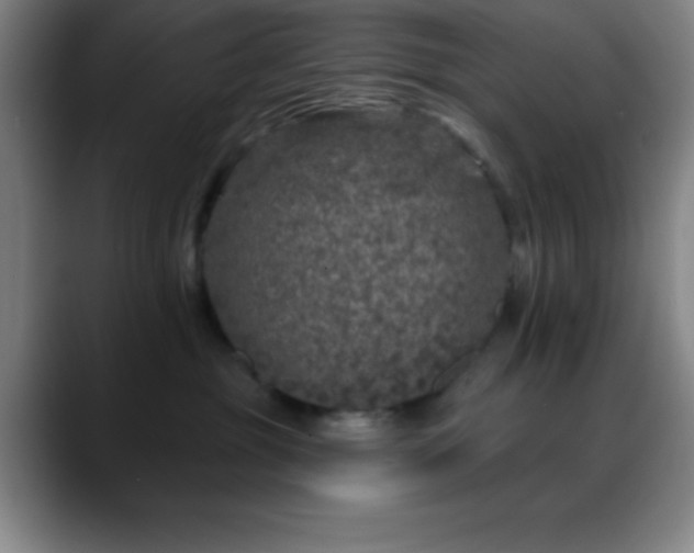 X0000088850381200706151721