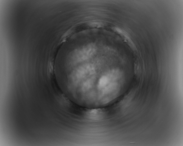 X0000088850382200706151721