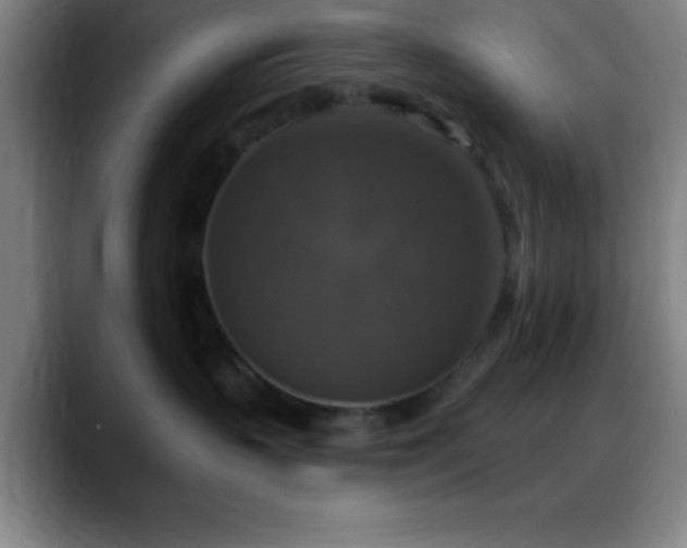 X0000088850383200706151721