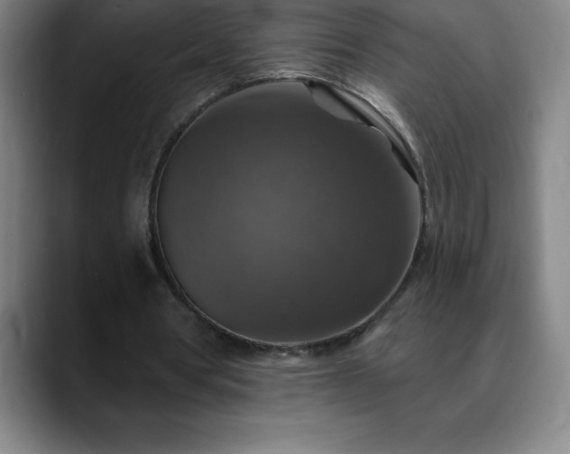 X0000088850386200706151721