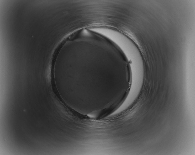 X0000088850387200706151721