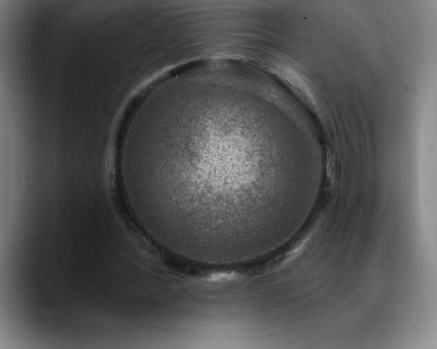 X0000088850388200706151721