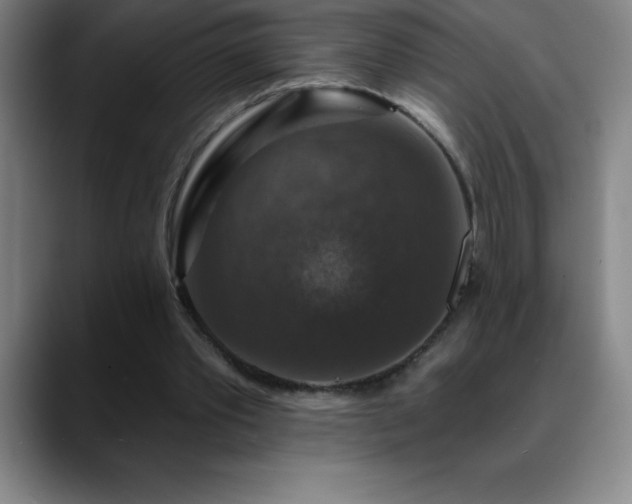 X0000088850389200706151721