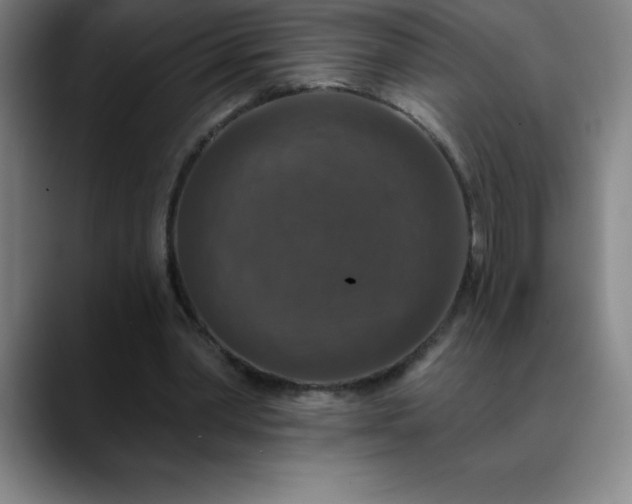 X0000088850390200706151721