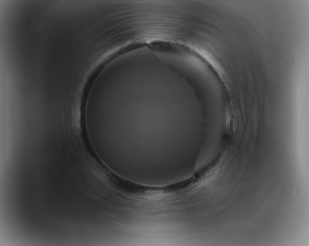 X0000088850391200706151721