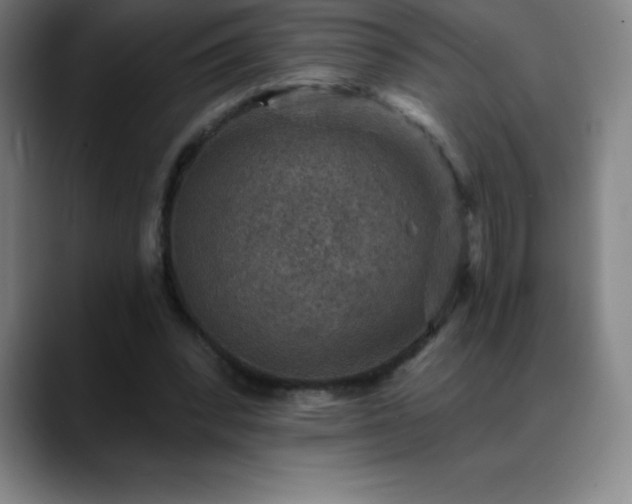 X0000088850392200706151721