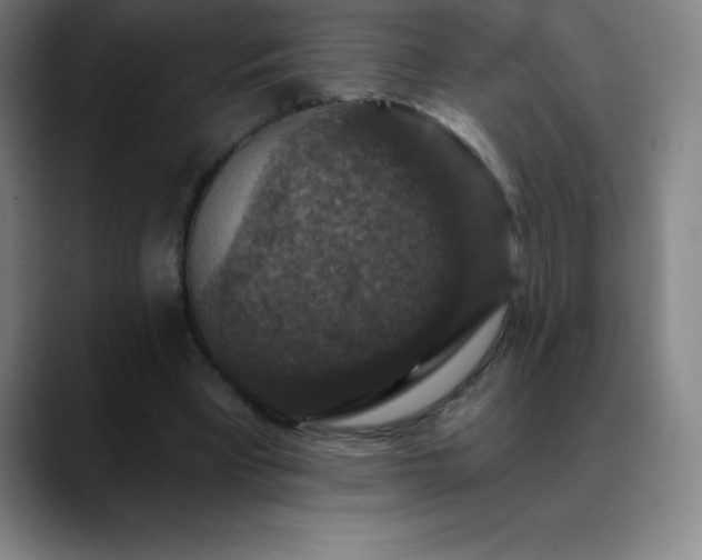 X0000088850393200706151721