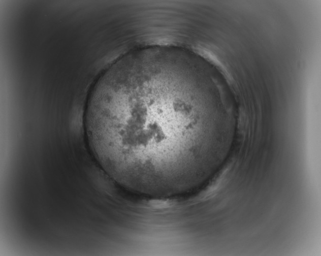 X0000088850394200706151721