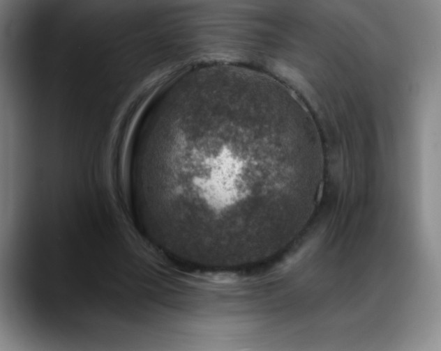 X0000088850395200706151721