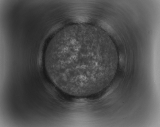 X0000088850396200706151721