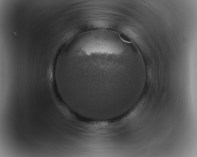 X0000088850398200706151721