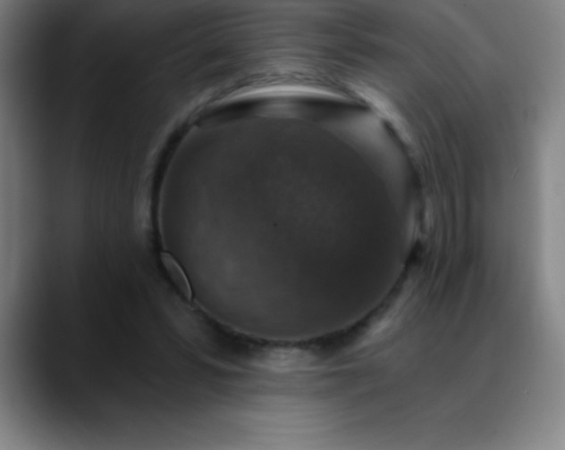 X0000088850399200706151721