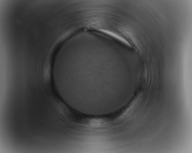 X0000088850400200706151721