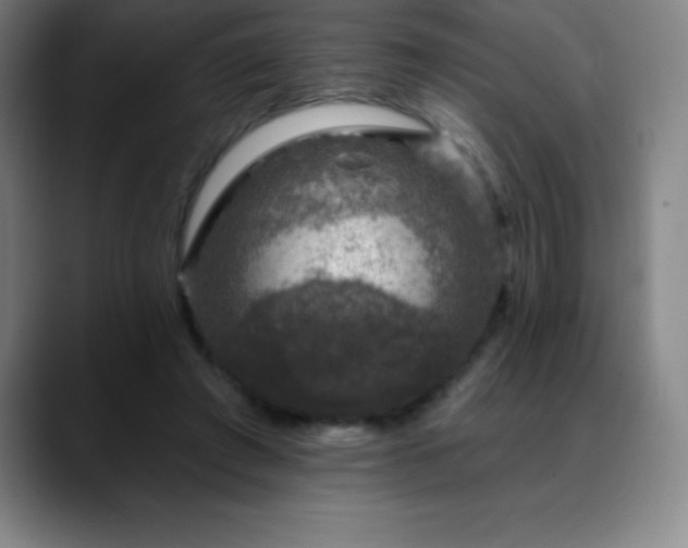 X0000088850401200706151721