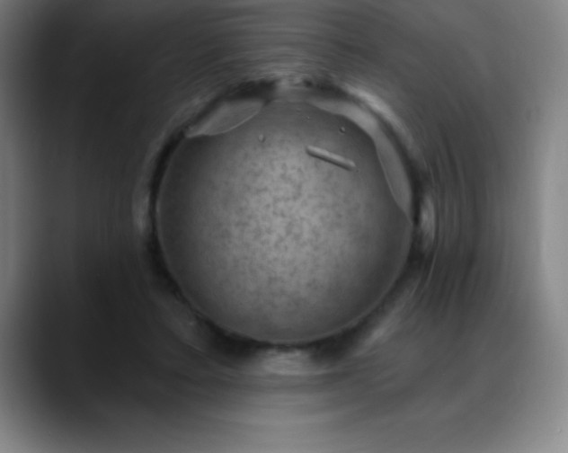 X0000088850403200706151721