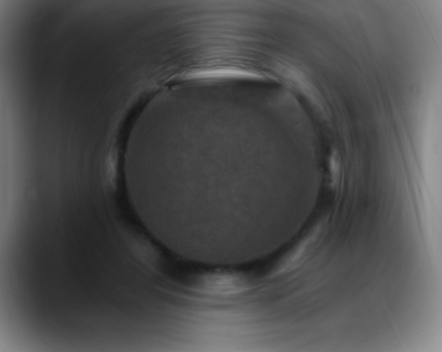 X0000088850404200706151721