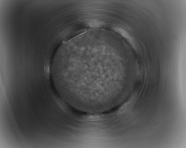 X0000088850405200706151721