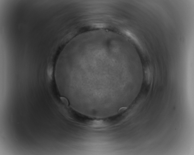 X0000088850406200706151721