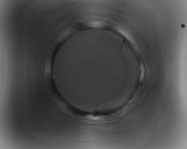 X0000088850407200706151721