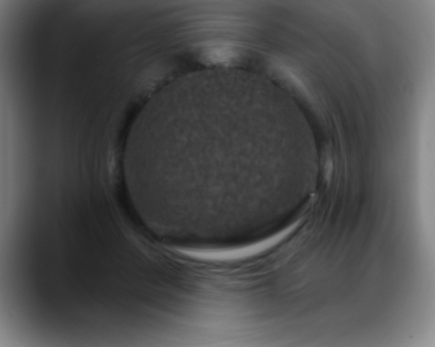 X0000088850408200706151721