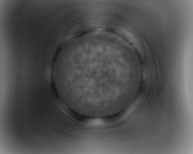 X0000088850409200706151721