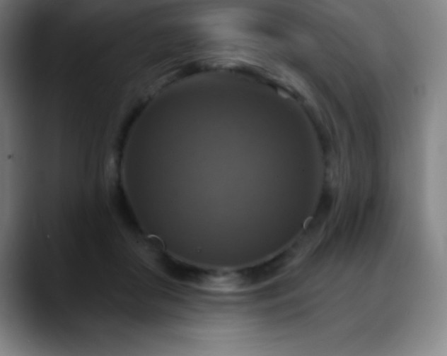 X0000088850410200706151721