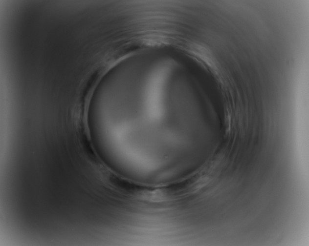 X0000088850411200706151721