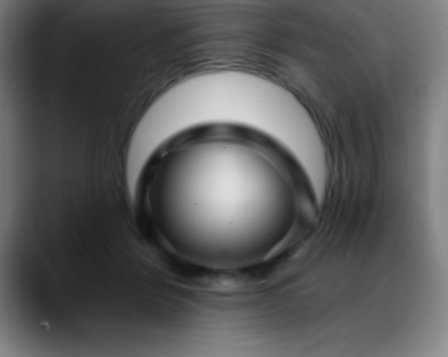 X0000088850412200706151721