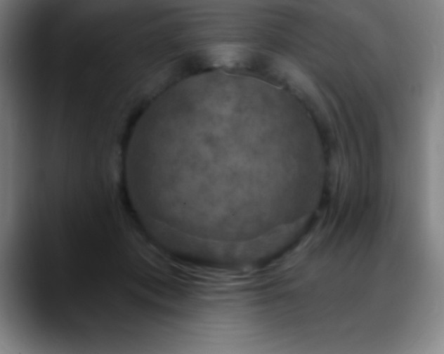 X0000088850413200706151721